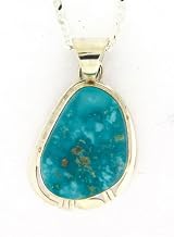 Necklace - Fox Turquoise Set in Sterling with Silver Chain