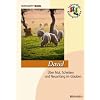 David: �ber Mut, Scheitern und Neuanfang im Glauben