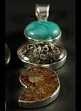 Image of Large Sterling Silver, Turquoise and Polished Ammonite Fossil Necklace