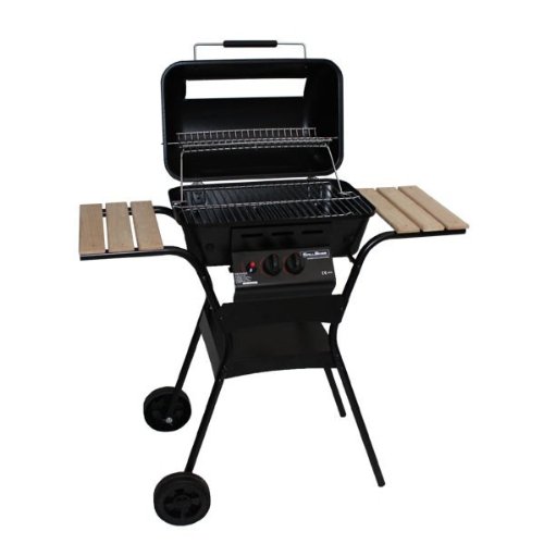 Barbecue à gaz GrillBoss Denver - 2 Brûleurs