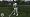 Tiger Woods PGA Tour 10