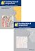 Book Teaching Atlas of Acupuncture: Channels and Points/Clinical Indications