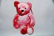 Salvino's Bammers Opening Day Mark McGwire #25 Bean Bag Toy