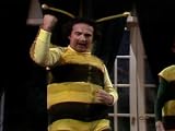 Saturday Night Live (SNL) November 27, 1976 - Jodie Foster / Brian Wilson