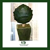 Vermont �v���U�[�u�h�E�g�s�A���[(�A�����A)/�t�����X��