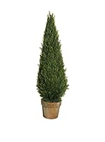 Evergreens Planta Artificial Cypress Pine Verde