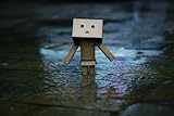 365 Days of Danboard -Amazon.co.jp box--