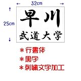 ��N�i�N�T�N���j���������p�_���[�b�P���i�h�J�������H�j32�~25cm �s���� ���� JT53225GYB