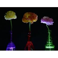 Fortune Products LB-513w Rectangle Light Base with White LED's, 13" Length x 5" Width x 1-1/4" Height