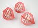 OFFICIAL ARSENAL FC CRESTED DART FLIGHTS