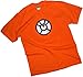 Orange Lantern Logo -- Green Lantern Adult T-Shirt, Large