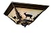 Vaxcel CC55414BBZ 3 Light Bryce Flush Mount Ceiling Light,