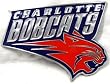 Charlotte Bobcats Enamel Belt Buckle, NBA Basketball Buckle