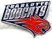Charlotte Bobcats Enamel Belt Buckle, NBA Basketball Buckle