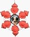 Club Pack of 12 Pet Keepsakes Fire Hydrant /Bone Photo Frame Christmas Ornaments