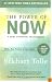 The Power of Now: A Guide to Spiritual Enlightenment