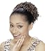 Shake N Go Freetress Ponytail Drawstrings: Shake N Go Freetress Tendril Drawstring Po...