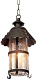 Camelot Collection 12 1/2 High Outdoor Hanging Light