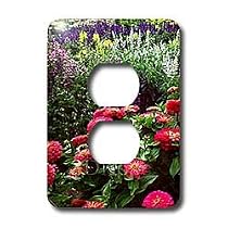 Flowers - Pink Zinnias - Light Switch Covers - 2 plug outlet cover