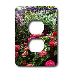 Flowers - Pink Zinnias - Light Switch Covers - 2 plug outlet cover