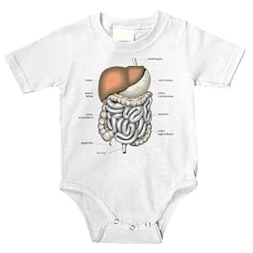 Digestive System Onesie