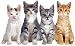 500 Piece Jigsaw Puzzle Four Kittens - A Cat Shaped Puzzle