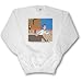 Go and Make Disciples AFTER the Sermon - Youth SweatShirt Large(14-16)