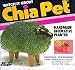 Chia Pet/Head-25th Anniversary Decorative Planter (Assorted Styles)