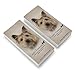 Cairn Terrier Dog Breed Eraser Set of 2