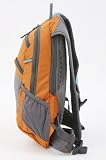 [��������] DAKINE AMP 12L Rust 12L 8110-008