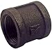 Pannext Fittings B-CPL02 Black Right Hand Coupling - 0.25 in.