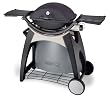 Weber Gasgrill Q 220, Black Line mit Rollwagen 2012