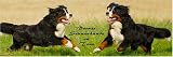 Eigenschaften Das Tierporträt  / Maxi-Auto-Aufkleber Berner Sennenhund 60 x 20 cm