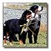 Dogs Bernese Mountain Dog - Bernese Mountain Dog - Wall Clocks