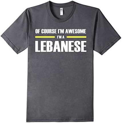 Men's Lebanese Gifts I'm Awesome T-Shirt Large Asphalt