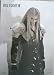 Final Fantasy VII Sephiroth Glossy Laminated Poster #4601