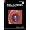 introductory digital electronics