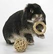 Peter's Rabbit and Small Animal Chew Ring Peter's Rabbit and Small Animal Chew Ring