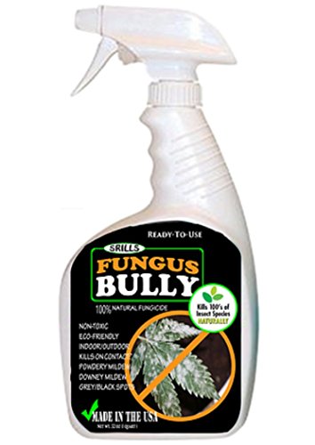 Srills 420 Fungus Bully - All Natural Organic 25b Mildew & Fungus Killer / Control for Medical Cultivation Hydroponics Plants Flowers Growers Fungicide Alternative - 32oz Spray Srills 420 Fungus Bully - All Natural Organic 25b Mildew & Fungus Killer / Control for Medical Cultivation Hydroponics Plants Flowers Growers Fungicide Alternative - 32oz Spray
