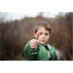Poster 70 x 50 cm - "Boy holding small autumn leaf, Portage County." von Corey Wise / Lonely Planet Images - auch in anderen Gr��en und als Leinwandbild erh�ltlich