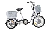 2010 Cavalo 36v Battery Powered Electric Tricycle 350 Watt Motor