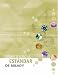 Milady's Standard: Cosmetology (Spanish Edition)