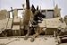 US Air Force Military Working Dog Sits on a US Army M2A3 Bradley Fighting Vehicle , 1...