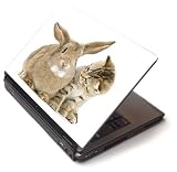 Review Kesa Design  / Bunny & cat - Toshiba Lapjacks skin to fit 15