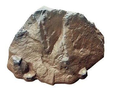 Cayce Rock Enclosure-Riverbed Brown