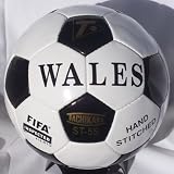 Tachikara ST - 5S FIFA Inspected and NFHS Approved &acute; Wales &acute; Interscholastic Game Soccer Ball ( Size 5 ) - B00099YJ9A