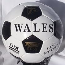 Tachikara ST-5S FIFA Inspected and NFHS Approved "Wales" Interscholastic Game Soccer Ball (Size 5)