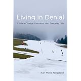living in denial climate change emotions and everyday life