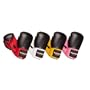 Revgear Deluxe Boxing Gloves