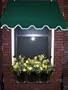 4-Foot Decorator Awning - Forest Green